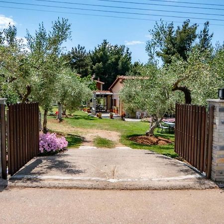 Small Paradise نيكيتي المظهر الخارجي الصورة