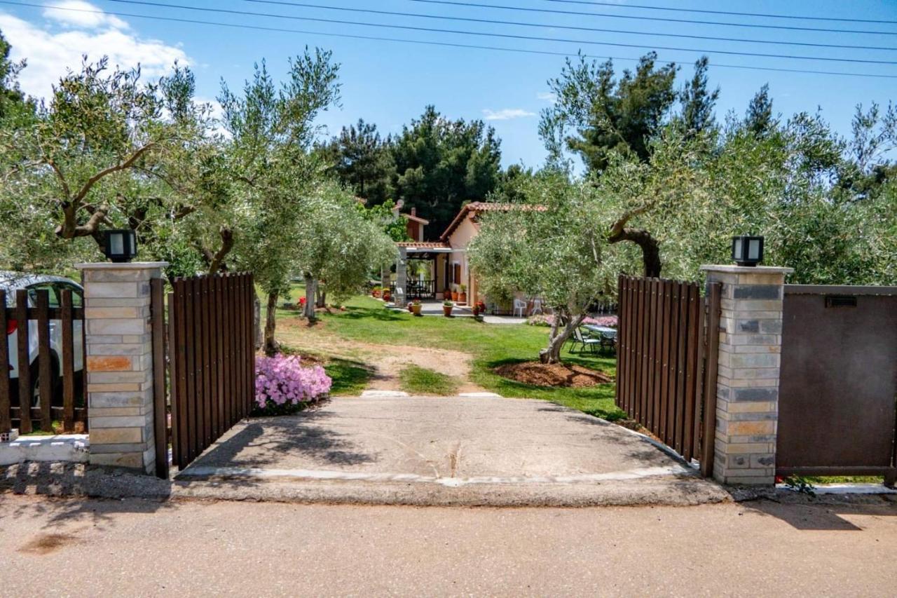 Small Paradise نيكيتي المظهر الخارجي الصورة