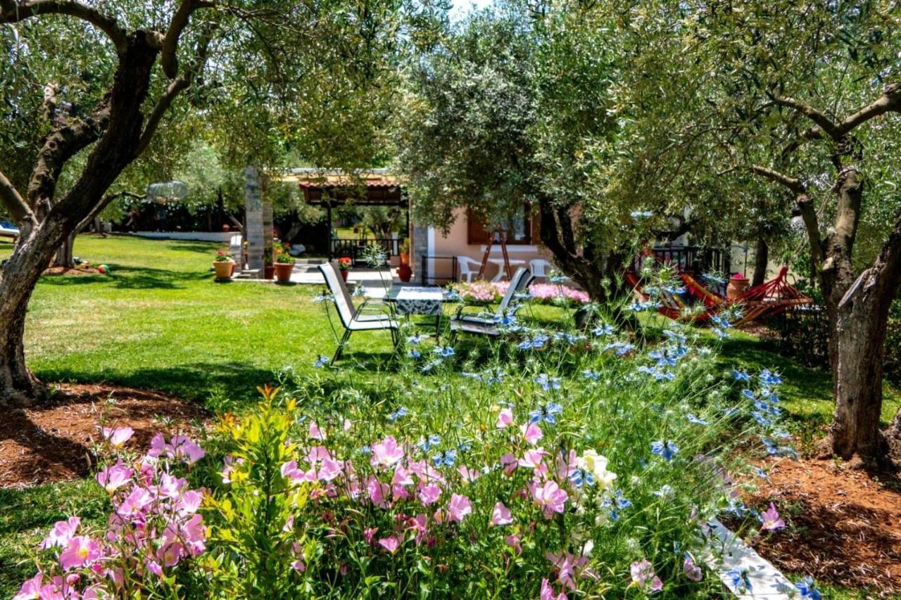Small Paradise نيكيتي المظهر الخارجي الصورة
