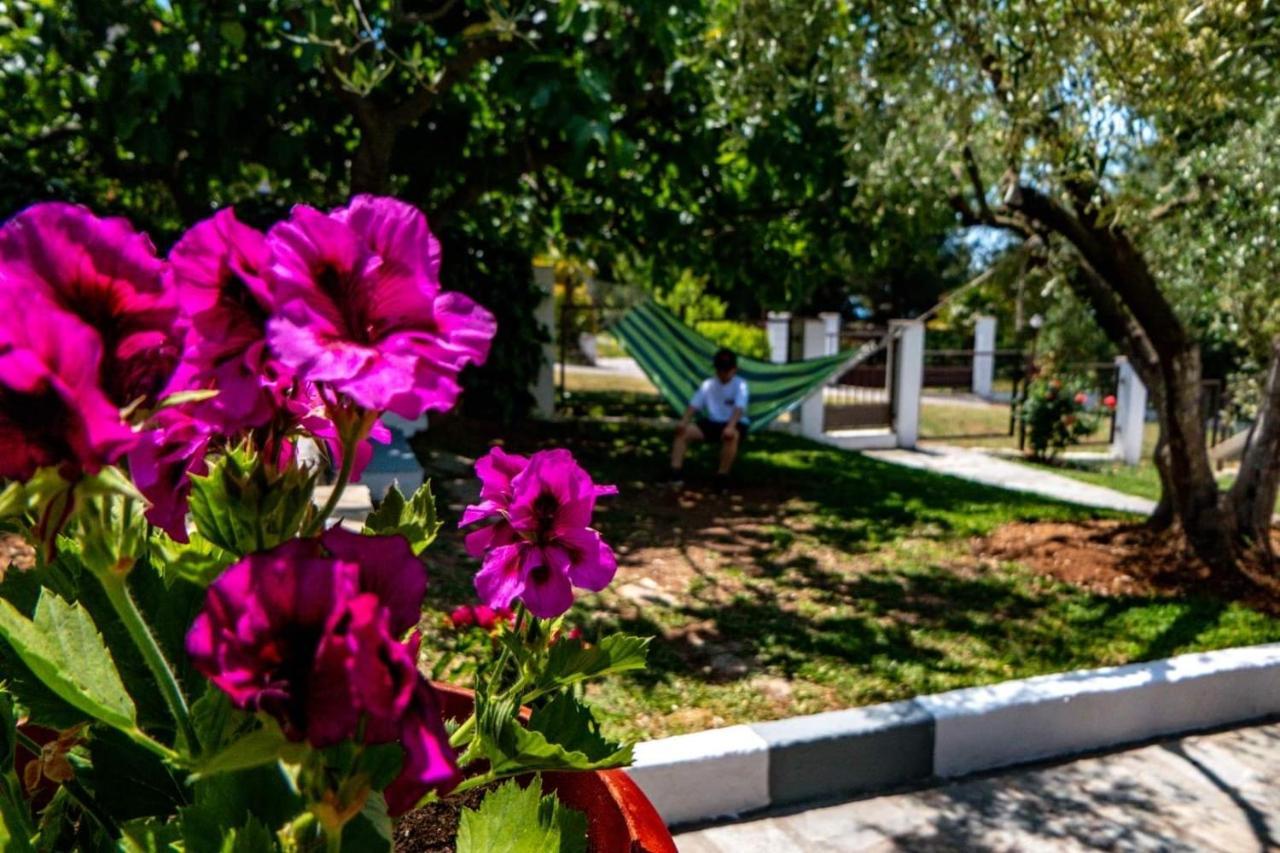 Small Paradise نيكيتي المظهر الخارجي الصورة