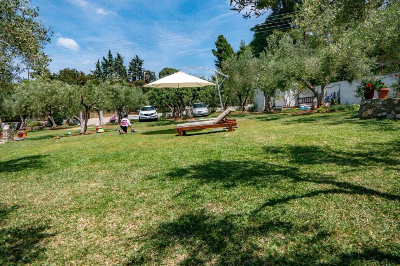 Small Paradise نيكيتي المظهر الخارجي الصورة